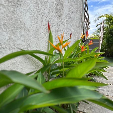 Cosy 2 Bedrooms Apts In Pereybere -Seasons Break Apartment Pereybere Beach Bagian luar foto