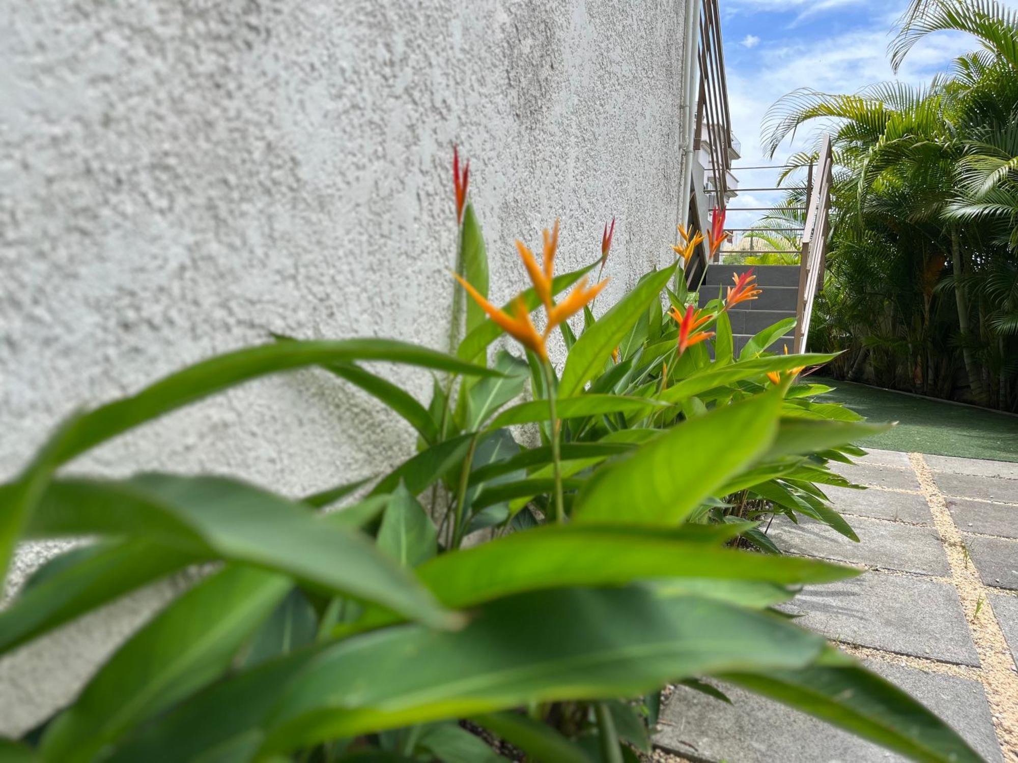 Cosy 2 Bedrooms Apts In Pereybere -Seasons Break Apartment Pereybere Beach Bagian luar foto